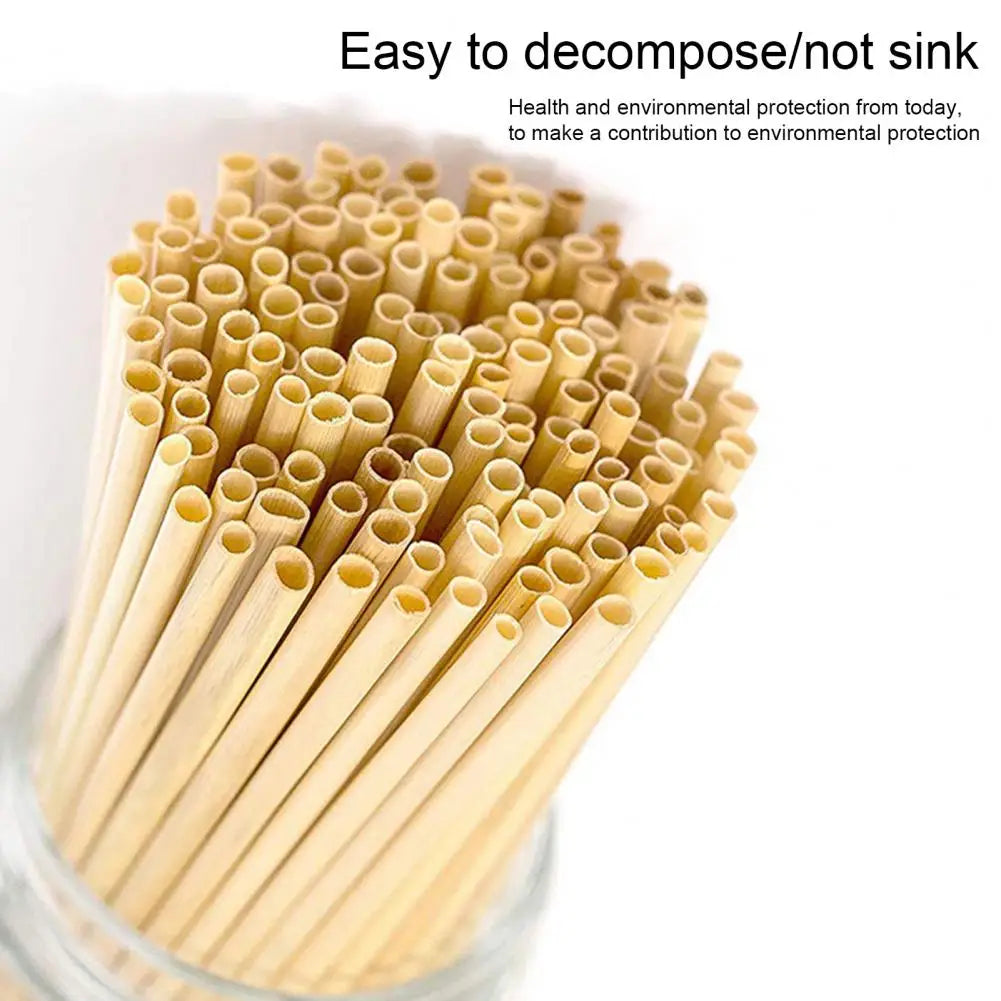 Bamboo Straws are a great item to take home as a souvenir 300 Pcs Wood Straws Food Grade Multipurpose Reusable Compostable Drink Chemical-free Bamboo Biodegradable Straws Party Supplies