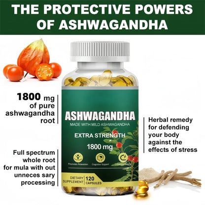 KSM-66 Cápsulas de Ashwagandha 1800 mg Suplemento de rendimiento muscular Enfoque de estrés Energía cerebral Apoyo de la salud del sueño