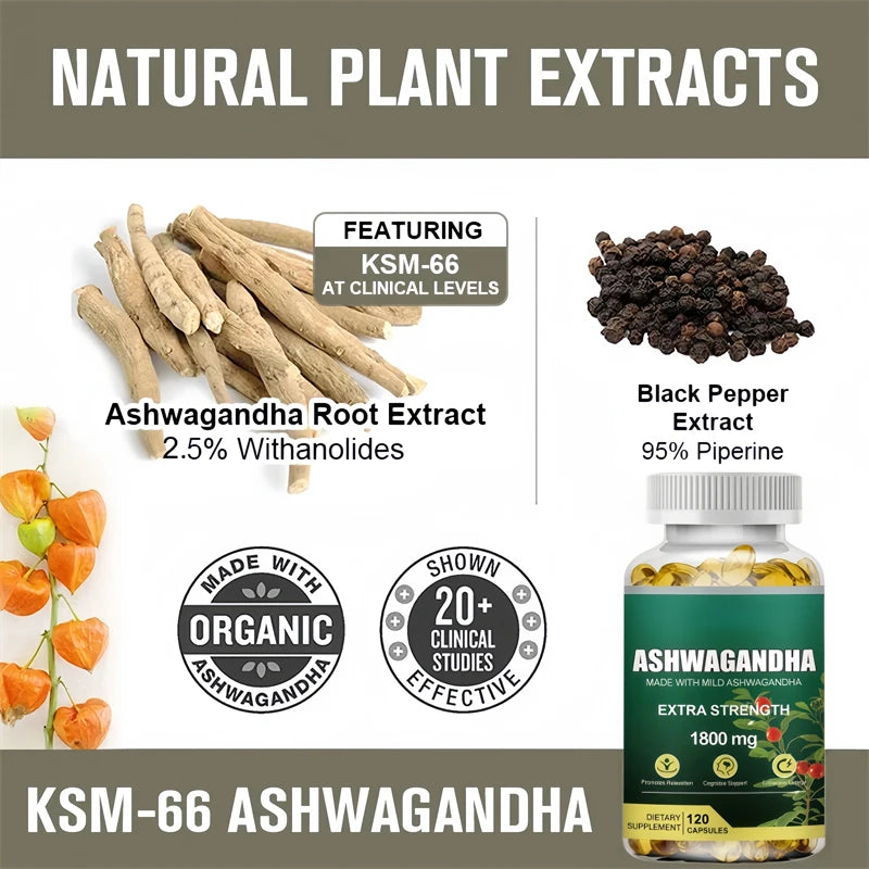 KSM-66 Cápsulas de Ashwagandha 1800 mg Suplemento de rendimiento muscular Enfoque de estrés Energía cerebral Apoyo de la salud del sueño